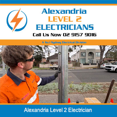 Level 2 electrician in high-visibility uniform inspecting electrical pole in Alexandria